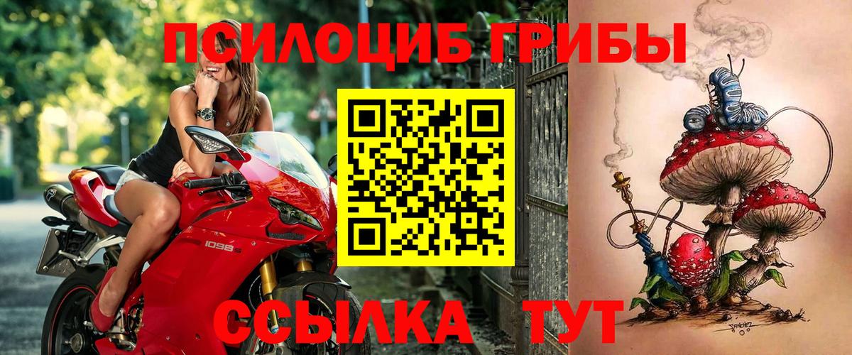 Псилоцибиновые грибы мицелий  Вход с VPN  Карачаевск 